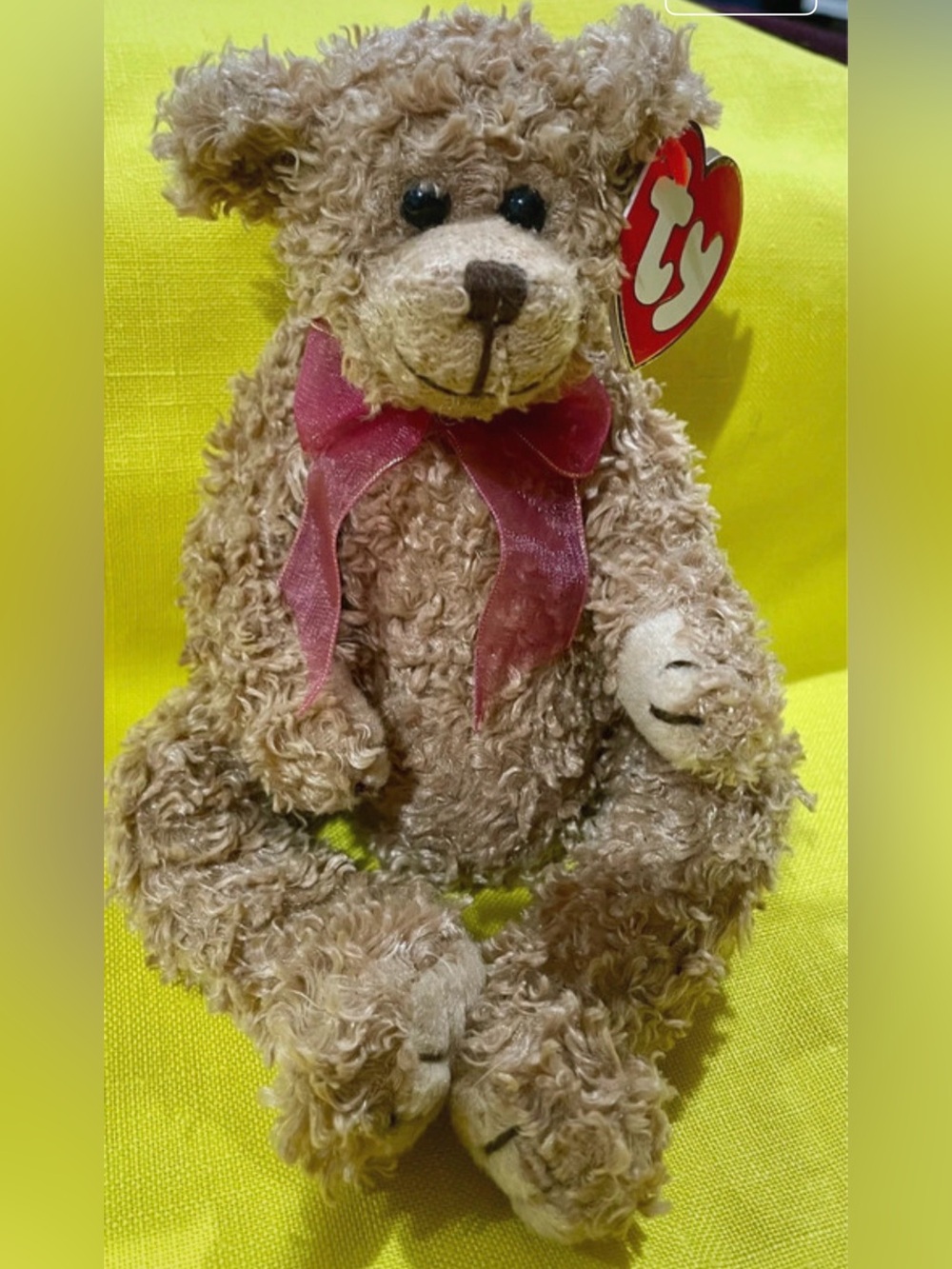 Berkley- Ty Plush Curly Brown Teddy Bear with 🎀 love ❤️ is in the answer